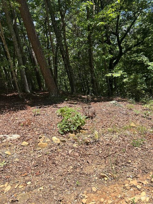 0 Skyview Acres Dr, Murphy, NC, 28906 | Card Image