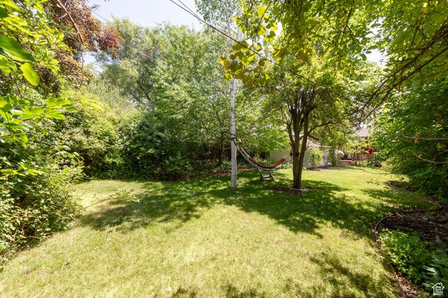 View of green lawn | Image 28
