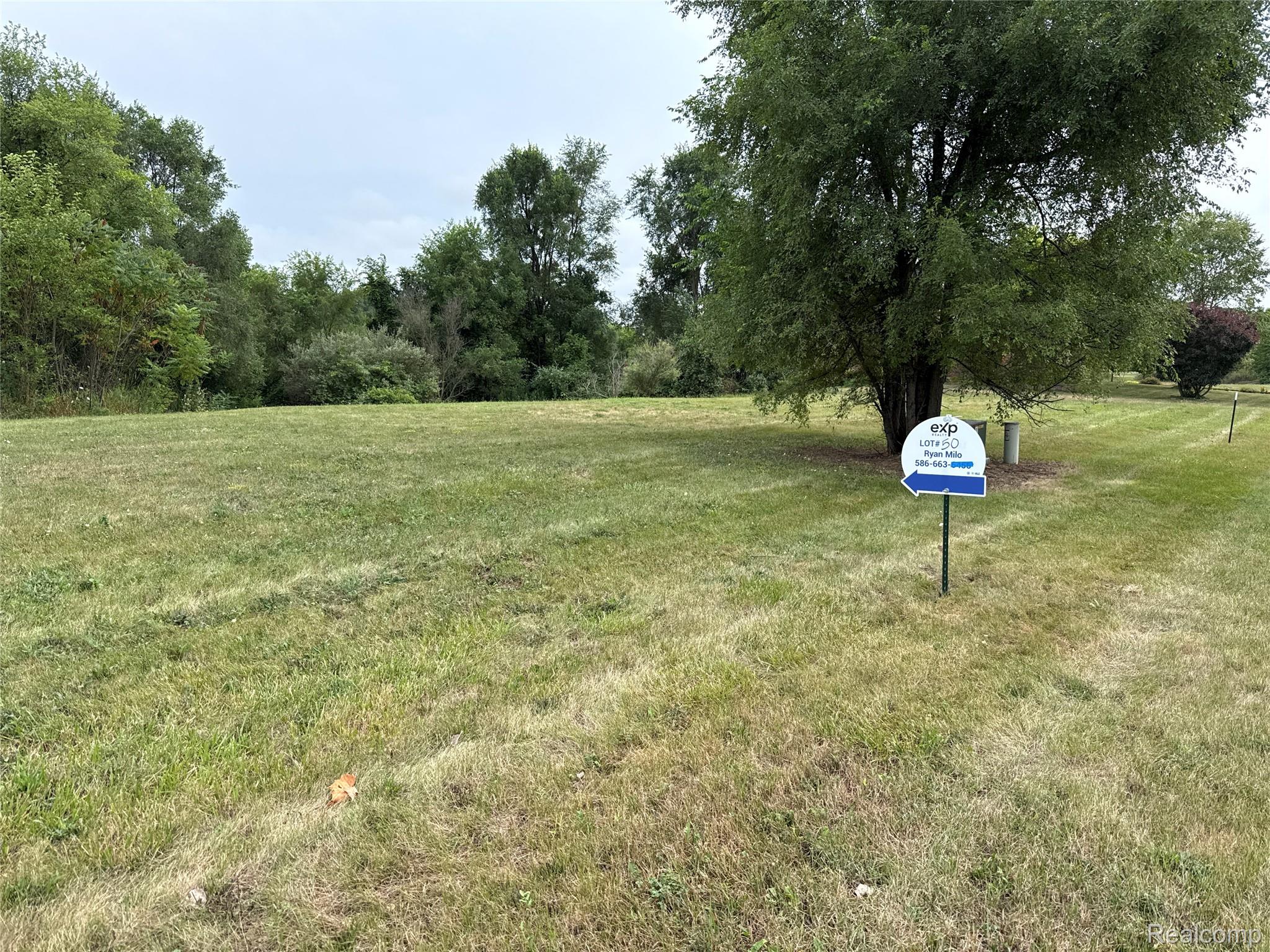 Land in Augusta Charter Township