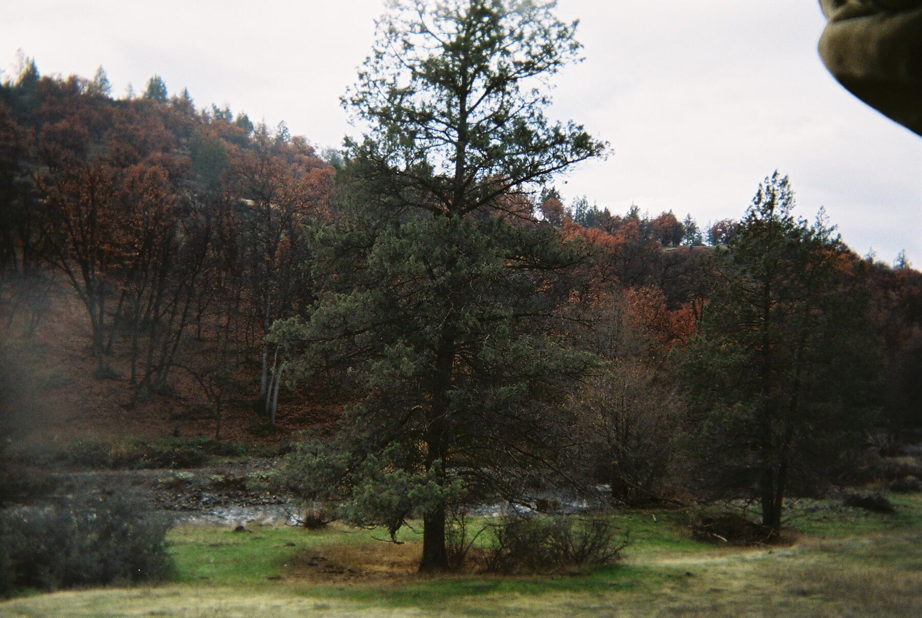 Land in Hornbrook 3