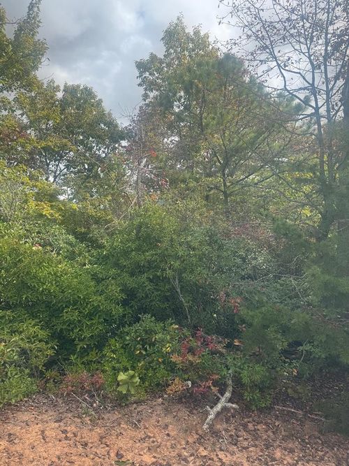 Lot 16 Cathy Rd, Rabun Gap, GA, 30568 | Card Image