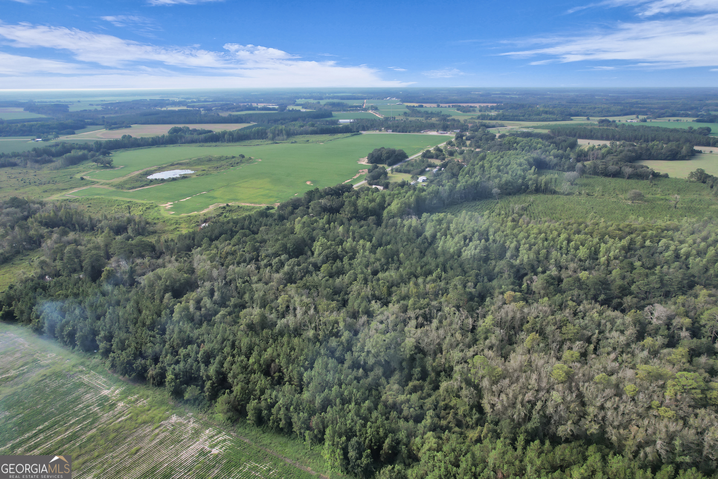 Land in Screven 2