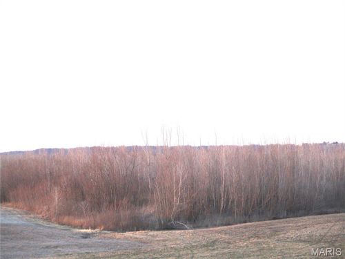 0000 Hickoryville Road, Kaskaskia, IL, 62233 | Card Image