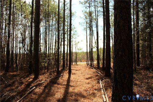 00 Greentown Dr, Lawrenceville, VA, 23868 | Card Image