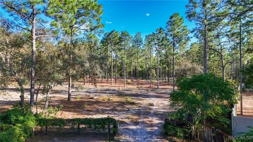 4256 N Amarillo Dr, Beverly Hills, FL, 34465-4810 | Card Image