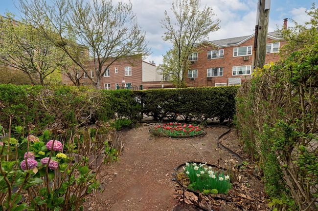 View of yard | Image 15
