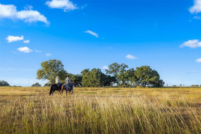 114 Hartfield Rd, Home with 0 bedrooms, 0 bathrooms and null parking in Round Top TX | Image 9