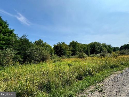 Lot 48 Warden Hollow West Rd, WARDENSVILLE, WV, 26851-8370 | Card Image