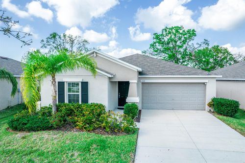 17113 Sunshine Mimosa Street, WIMAUMA, FL, 33598 | Card Image