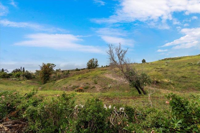 Haleakala Ranch View | Image 41