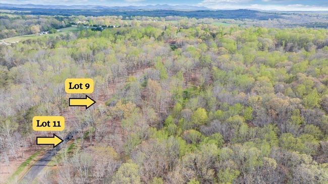 Lot 9 and 11 g | Image 35