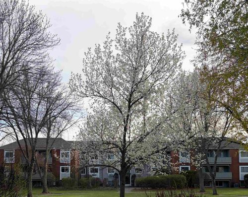 28-113 Cluff Crossing Road Road, Salem, NH, 03073 | Card Image