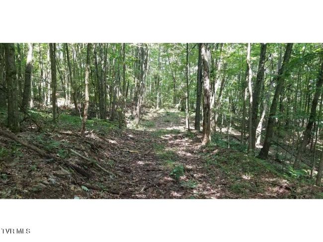 5596 Twin Springs Rd, House other with 3 bedrooms, 2 bathrooms and null parking in Dungannon VA | Image 48