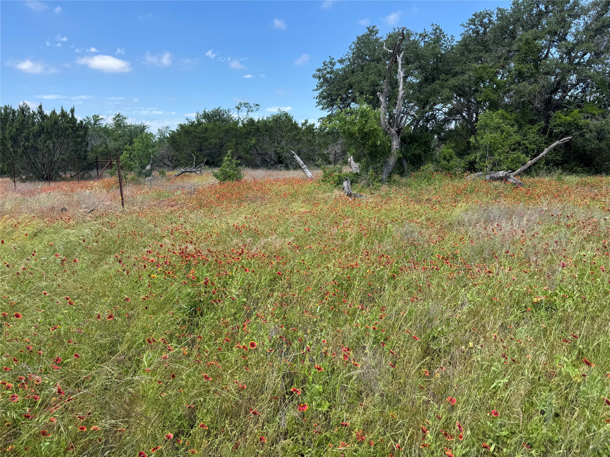 Land in Weatherford 5