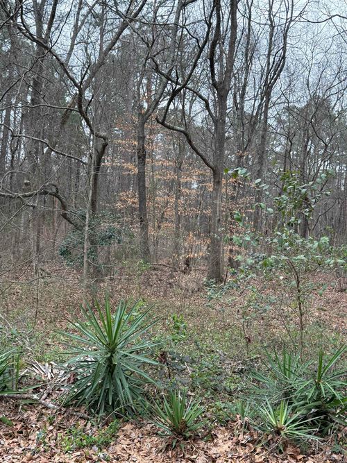 0 Norwood St, pacolet, SC, 29372 | Card Image