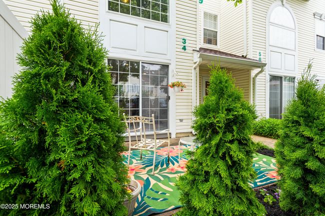 New Arborvitaes around your patio | Image 22