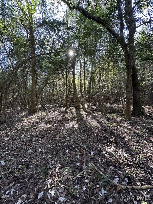 80 County Road 27, Clayton, AL, 36016 | Card Image