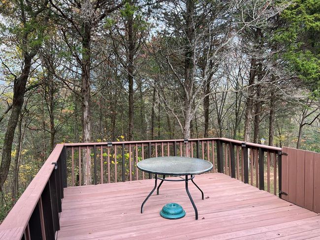141 Jt Foster Rd, Home with 3 bedrooms, 2 bathrooms and null parking in Allons TN | Image 26