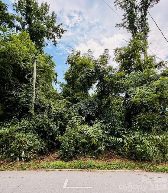 Land in Asheville 3