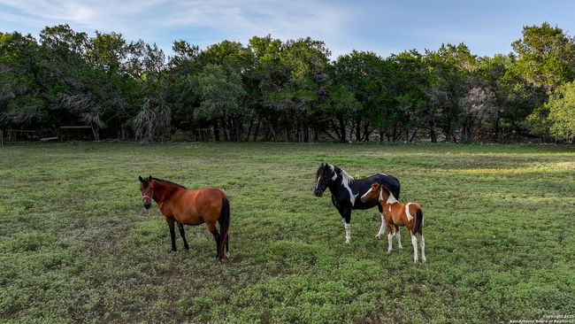 543 Narrows Rd, Home with 0 bedrooms, 0 bathrooms and null parking in Blanco TX | Image 29