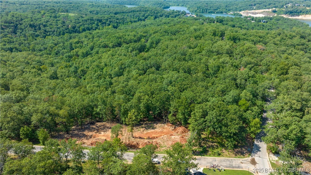 Land in Linn Creek 5