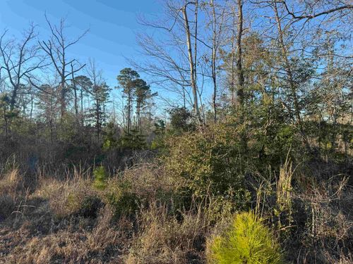 0000 Private Road 6148, Jasper, TX, 75951 | Card Image