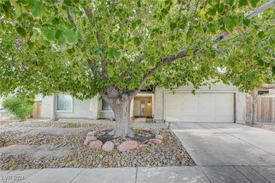 3999 Meadow Grove Avenue, House other with 4 bedrooms, 1 bathrooms and null parking in Las Vegas NV | Image 1