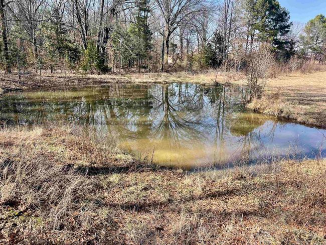 86 Brewer Rd, House other with 1 bedrooms, 2 bathrooms and null parking in Conway AR | Image 22