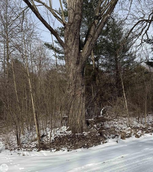 0 Genaw Rd, Marine City, MI, 48039 | Card Image