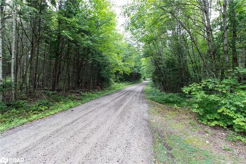 1415 Long Lake Rd, Emsdale, ON, P0A1J0 | Card Image