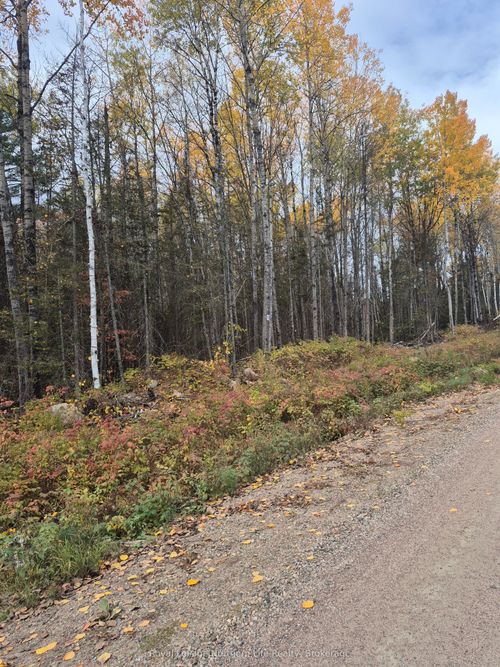 PT LOT 1 CON 9 Archambeault Road, Papineau Cameron, ON, P0H1V0 | Card Image