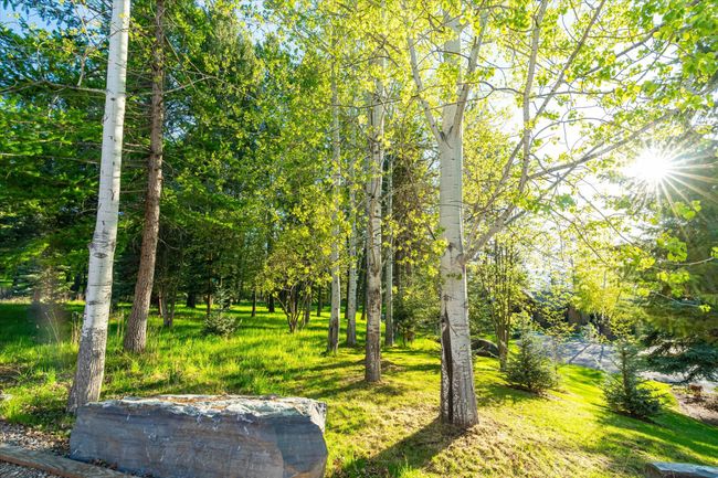 113 Levi Ct, House other with 4 bedrooms, 4 bathrooms and null parking in Bigfork MT | Image 57