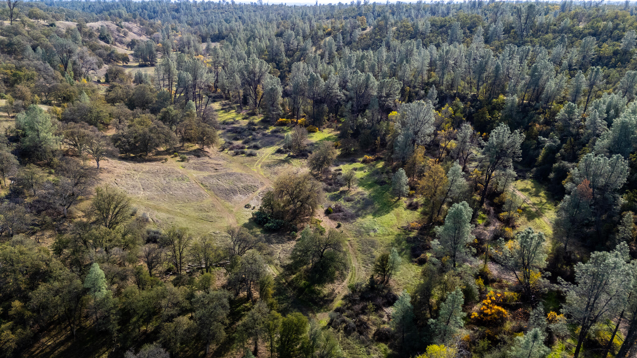 Land in Redding 4