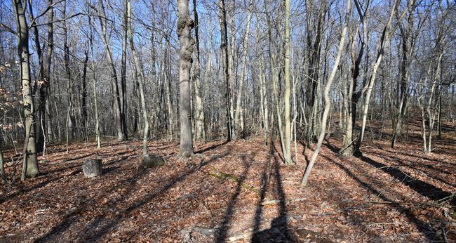 62-14, 15, 16 Middlesex Turnpike, Home with 0 bedrooms, 0 bathrooms and null parking in Old Saybrook CT | Image 15