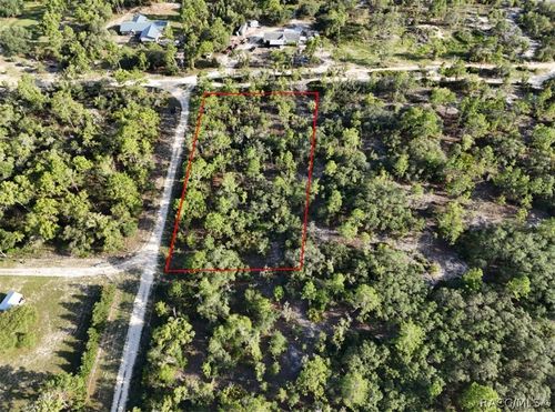10532 N Turn Around Terrace, Dunnellon, FL, 34433 | Card Image