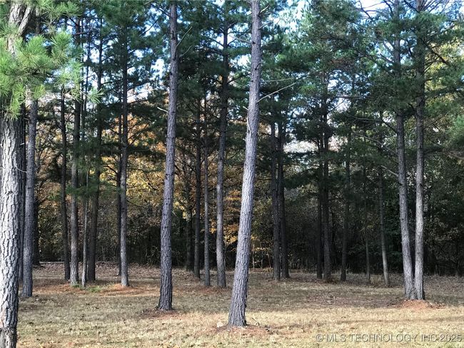 16265 N 573 Rd, House other with 3 bedrooms, 2 bathrooms and null parking in Tahlequah OK | Image 6