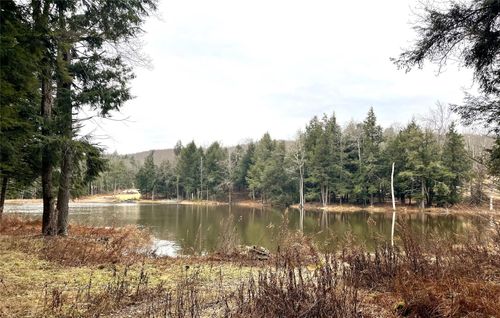 10 Cold Creek Pass, Parksville, NY, 12768-5702 | Card Image