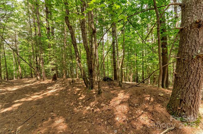 62 - 159 Deerberry Dr, Home with 0 bedrooms, 0 bathrooms and null parking in Nebo NC | Image 15
