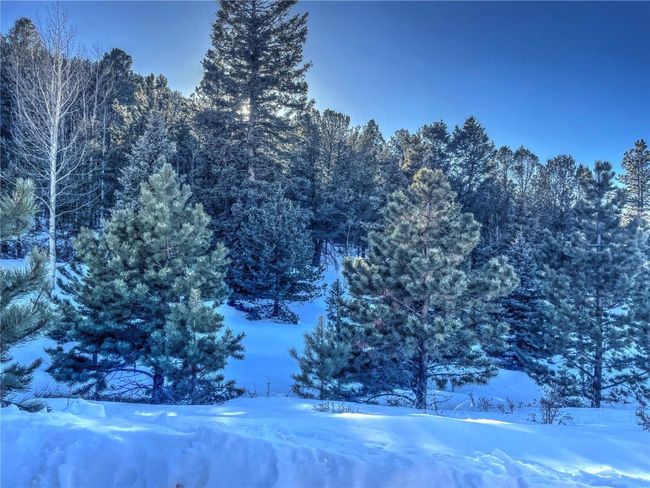 1174 Monarch Dr, Home with 0 bedrooms, 0 bathrooms and null parking in Cripple Creek CO | Image 10