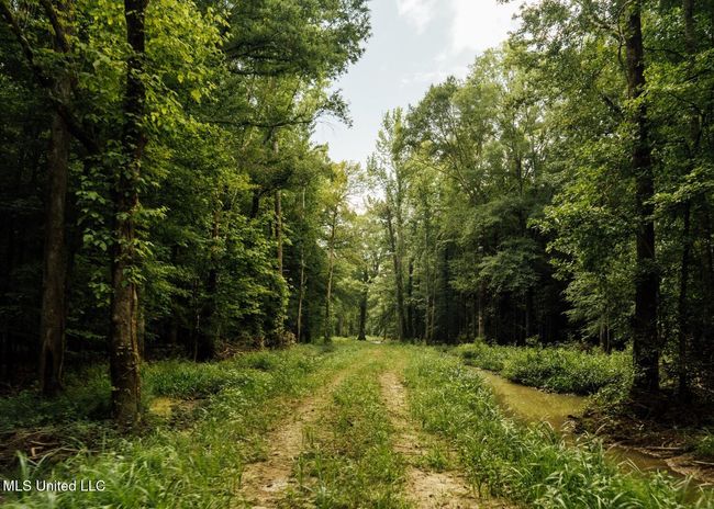 Castens Creek Pics-75 | Image 35