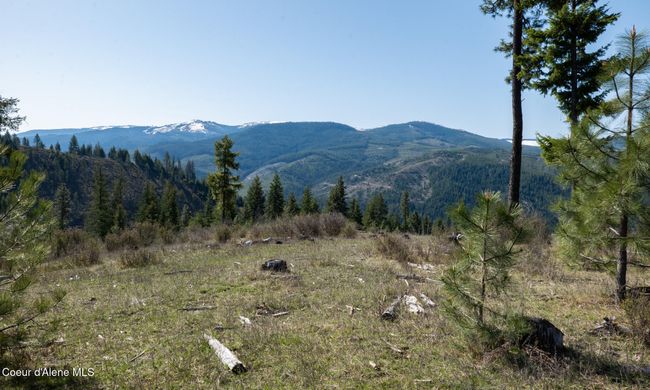 262 North Side Road, Home with 0 bedrooms, 0 bathrooms and null parking in Calder ID | Image 58