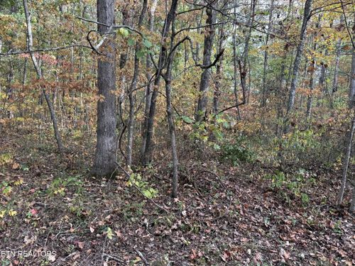 0 Copley Cemetery Rd, Jamestown, TN, 38556 | Card Image