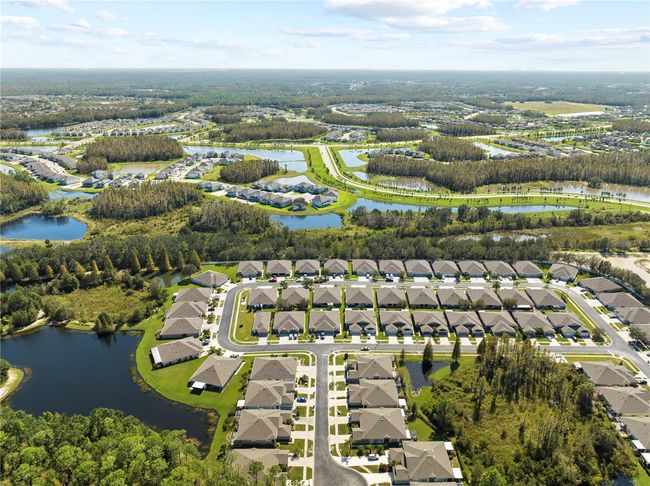 31932 Stillmeadow Dr, House other with 3 bedrooms, 2 bathrooms and null parking in WESLEY CHAPEL FL | Image 33