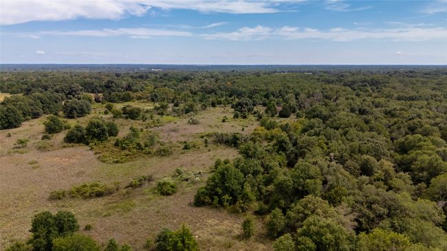 Birds eye view of property | Image 21