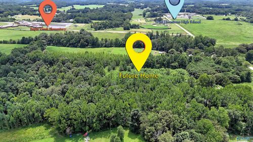 26600 W Limestone School Road, Lester, AL, 35647 | Card Image