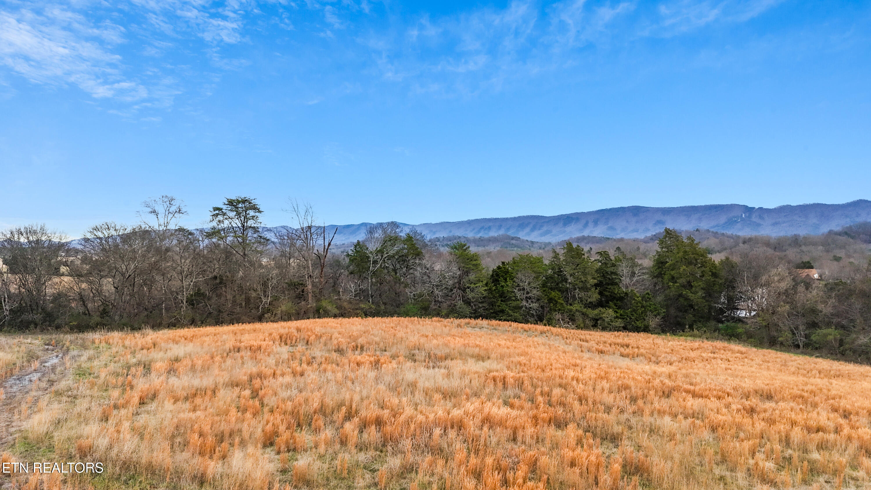 Land in Maryville 4