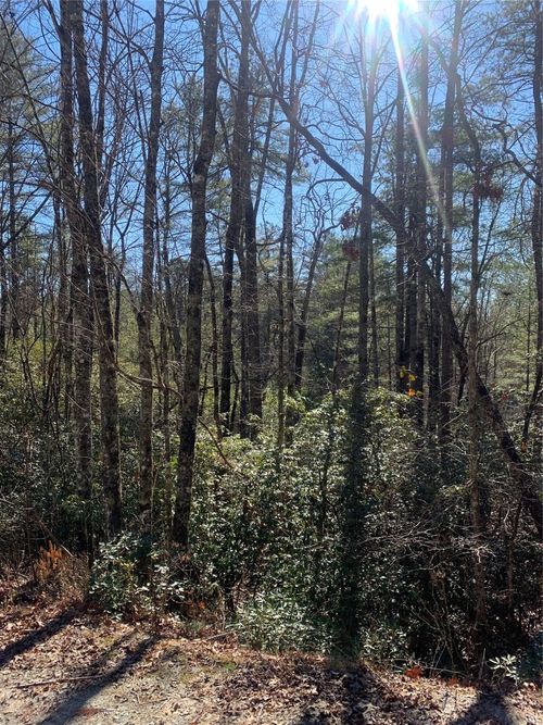 9 Oak Laurel Rd, Brevard, NC, 28712-7324 | Card Image