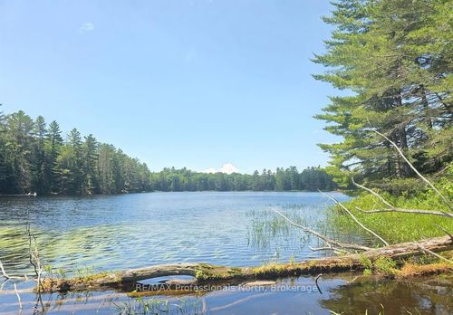 1134 Walker Line Road, Algonquin Highlands, ON, K0M1S0 | Card Image