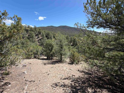 tbd Off Nm 518 Lot 8, Taos, NM, 87571 | Card Image