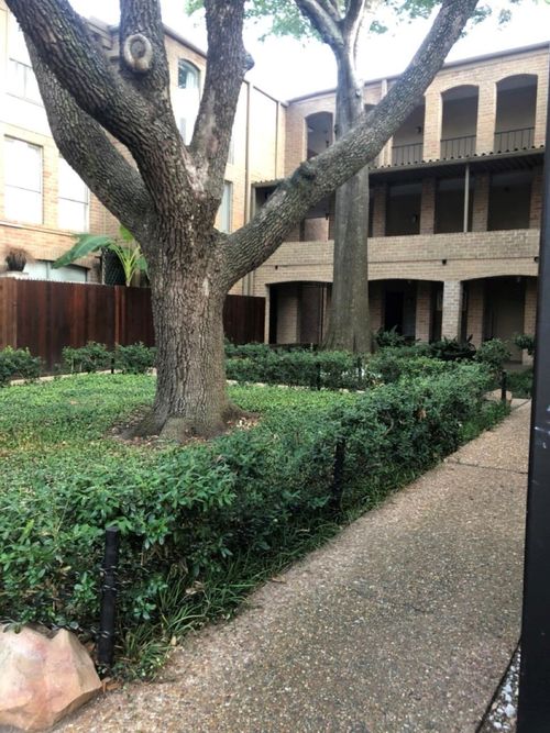 apt-439-4641 Wild Indigo St, Houston, TX, 77027-7062 | Card Image